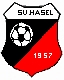 Kunstrasenprojekt des SV Hasel 1957 e.V